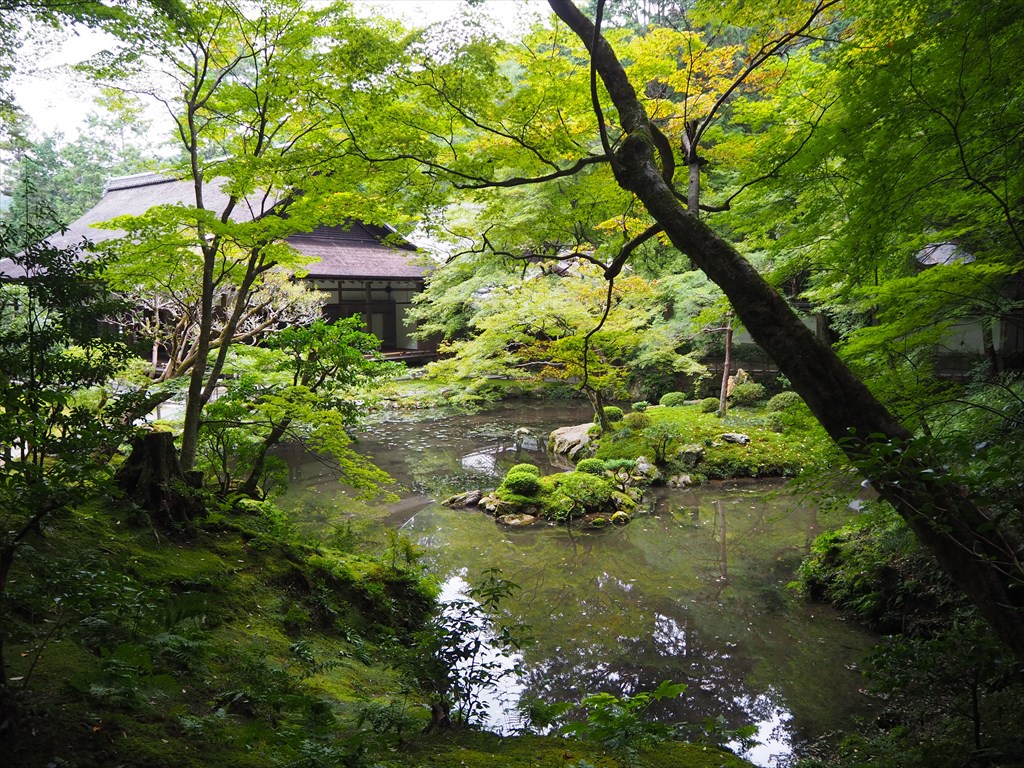 南禅院の風景