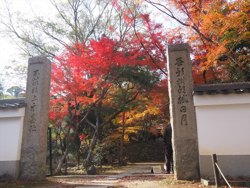 11月30日(火)13時30分～紅葉が彩る特別公開の浄住寺と竹の寺・地蔵院へ