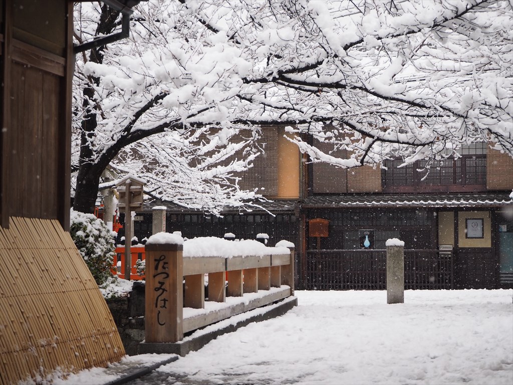 大雪の京都　祇園白川の風景