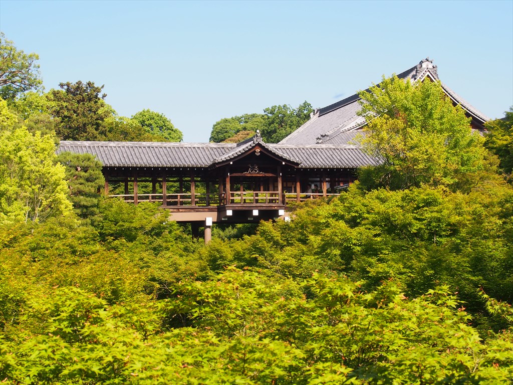 【配信講座】京都を楽しむ春夏秋冬のめぐり方