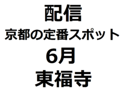 【配信講座】6月「東福寺」　京都の定番スポット徹底解説！