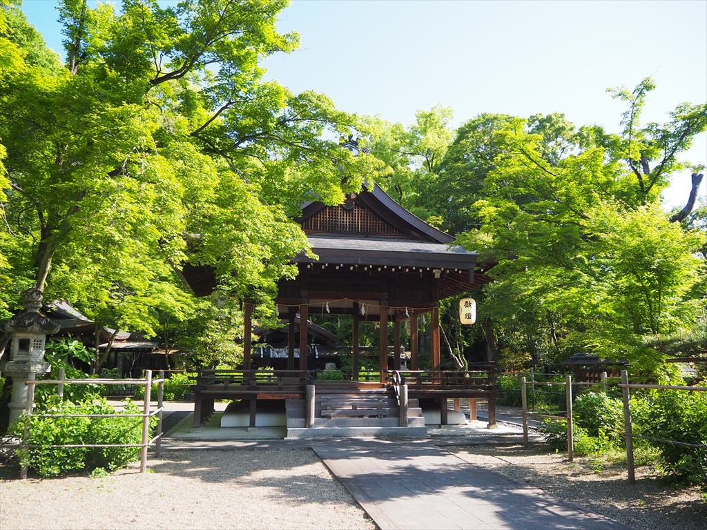 梨木神社の新緑