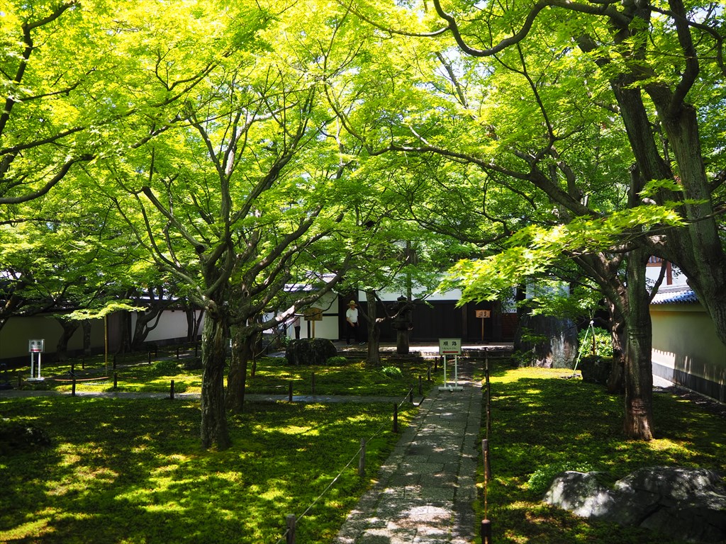 大徳寺の黄梅院　京都屈指の美しい空間