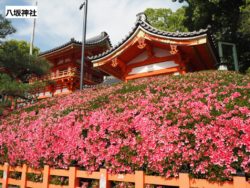 【講座動画】京都を楽しむ春夏秋冬のめぐり方　5月の京都の見どころ