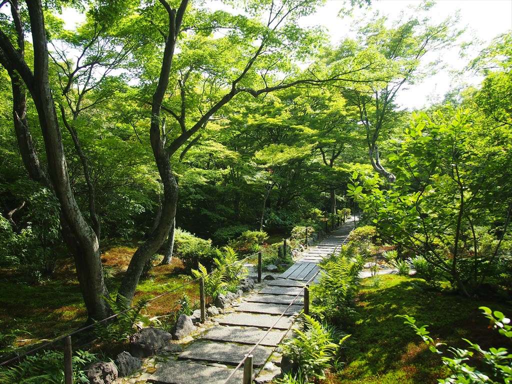 【現地】苔と緑が美しい嵯峨野巡り　静かなる隠れ寺から無常が響く祇王寺へ