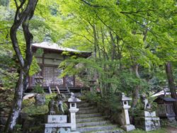 10月12日(水)13時～苔と緑が美しい嵯峨野巡り　静かなる隠れ寺から無常が響く祇王寺へ