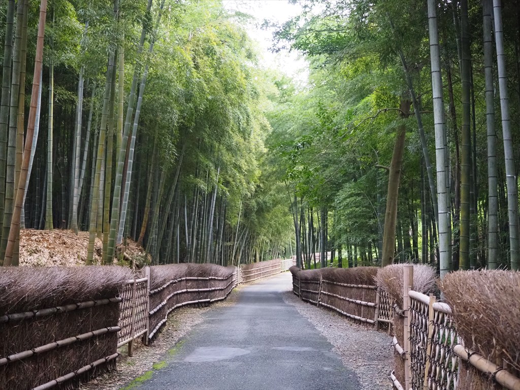 洛西竹林公園と竹の径