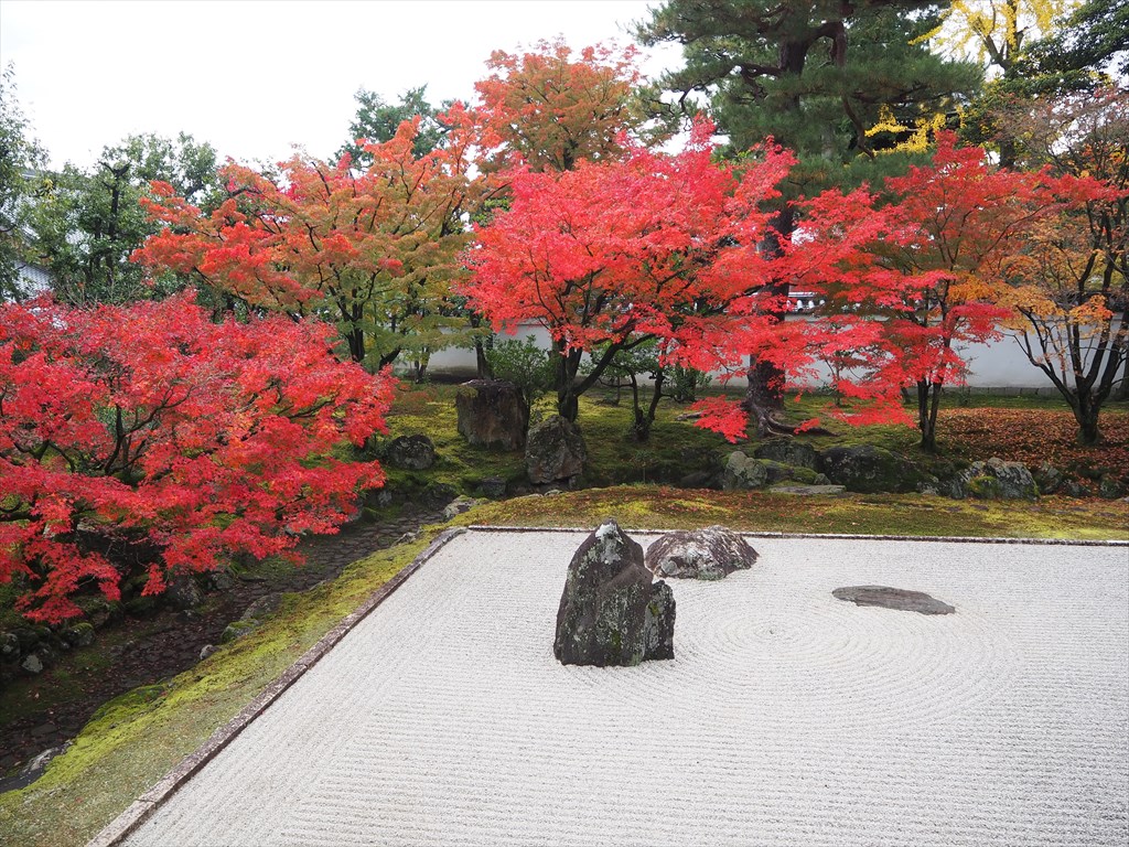 相国寺　開山堂庭園の紅葉