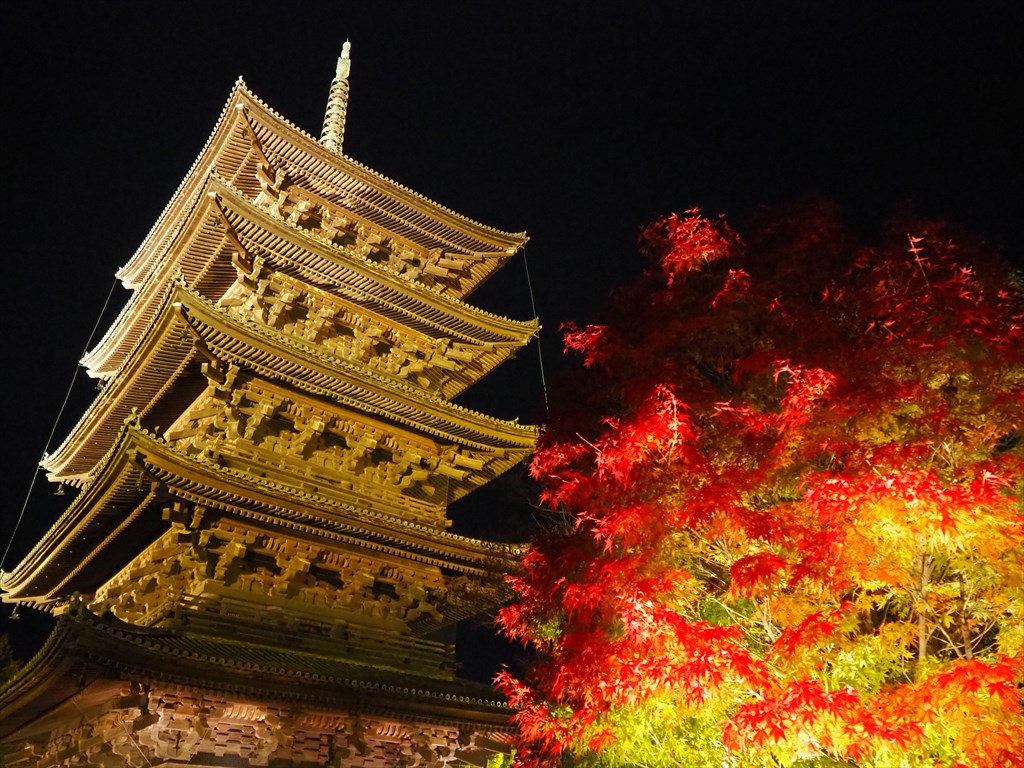 東寺の紅葉ライトアップ　2022年