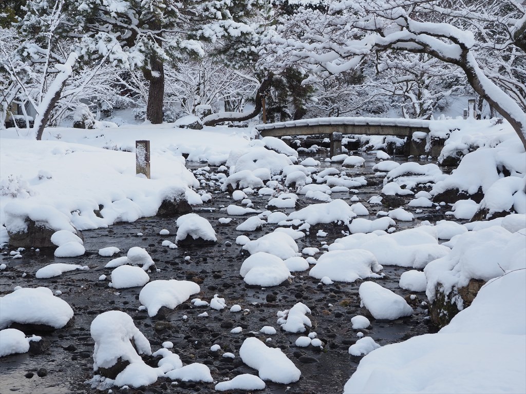 円山公園の雪景色