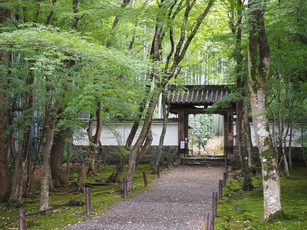 竹の寺　地蔵院の風景