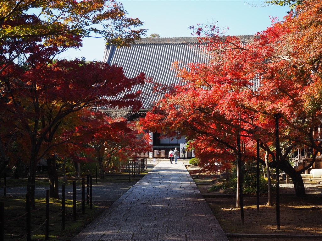 紅葉が美しい長岡京市の光明寺