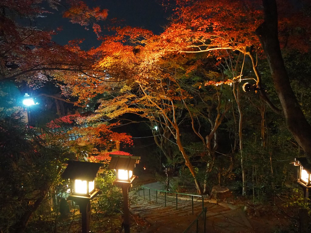 長楽寺の紅葉ライトアップ
