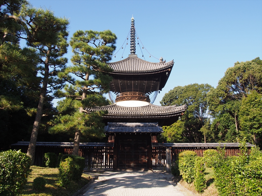 12月からの講座を受付中！