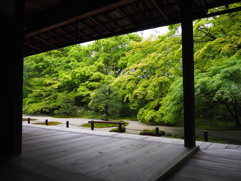 雨の日も美しい新緑の天授庵