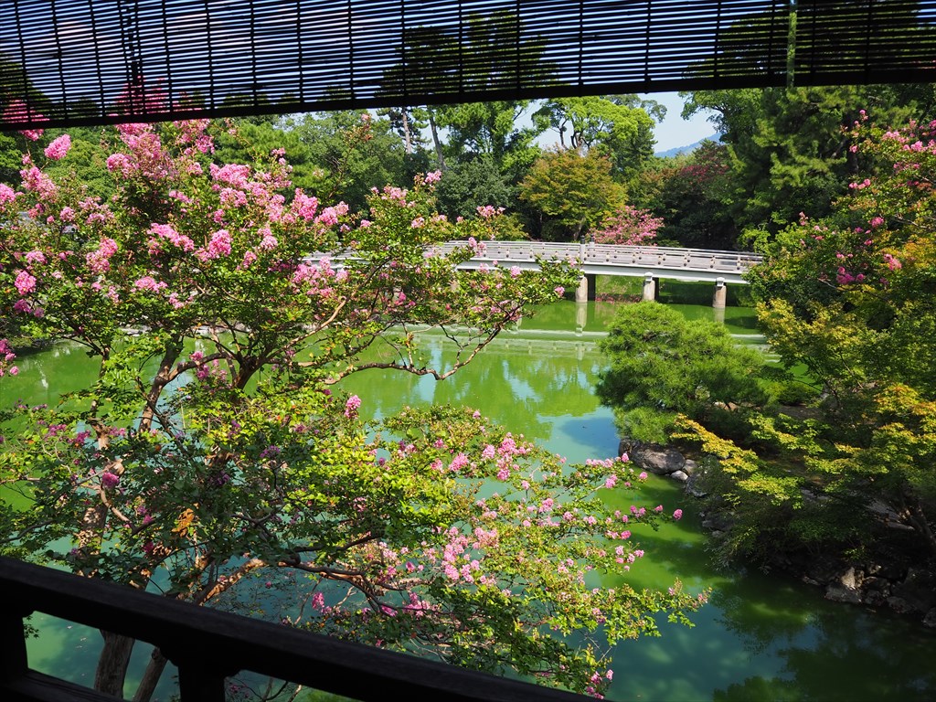 京都御苑　拾翠亭のサルスベリ