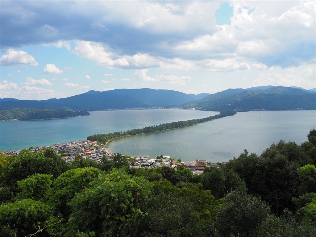 傘松と馬 4歳以上次走報】デルマソトガケは松若風馬騎手とのコンビで佐賀記念へ