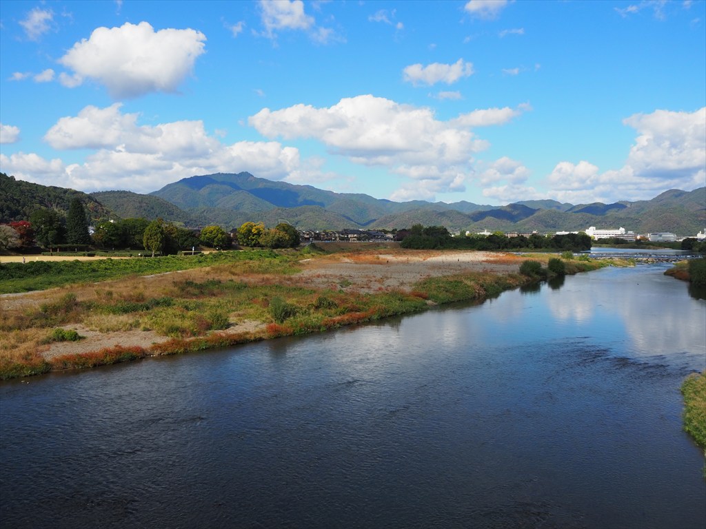 桂川の眺め