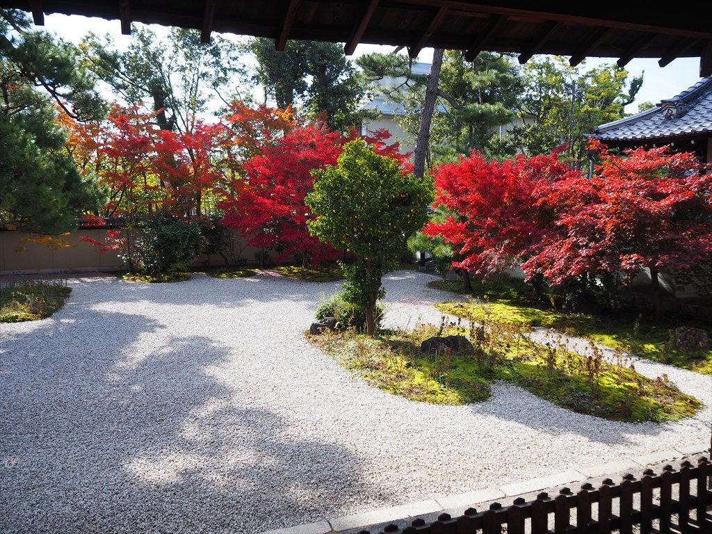 廬山寺の見事な紅葉