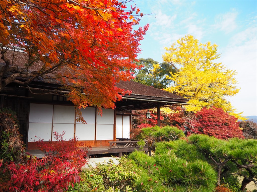 紅葉が包む大河内山荘庭園