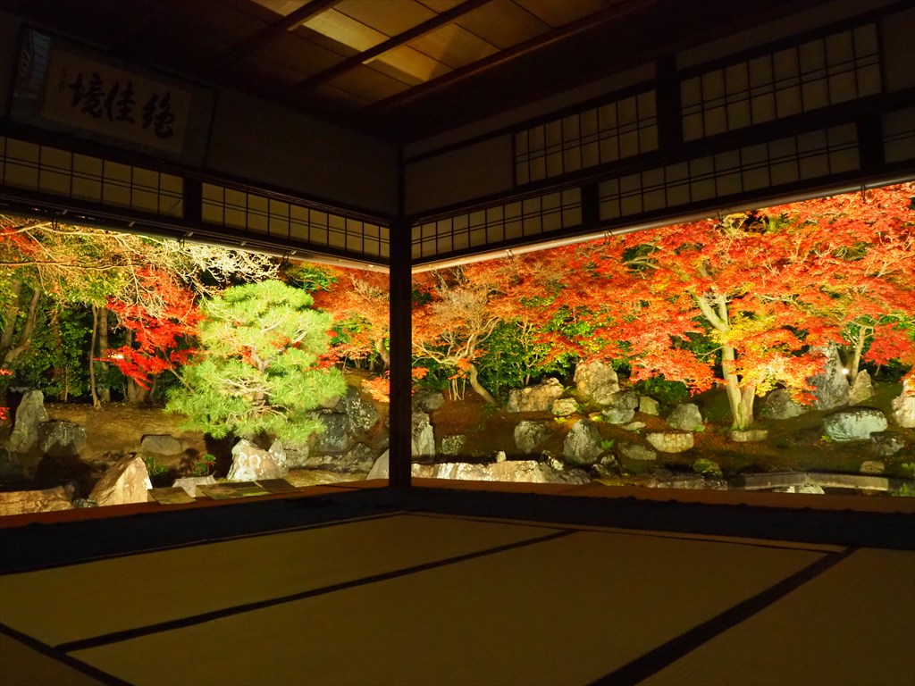 圓徳院のライトアップ