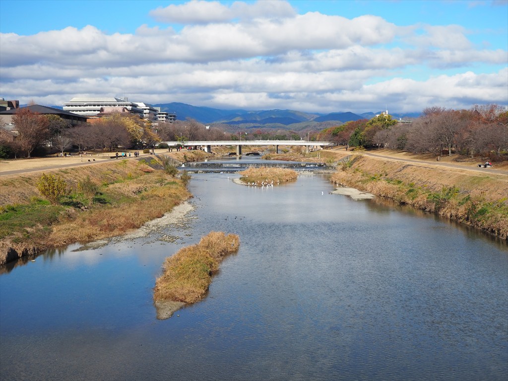 鴨川の風景