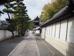 2月19日(木)13時～蚕ノ社から太秦安井　塔頭が立ち並ぶ妙心寺境内を歩く